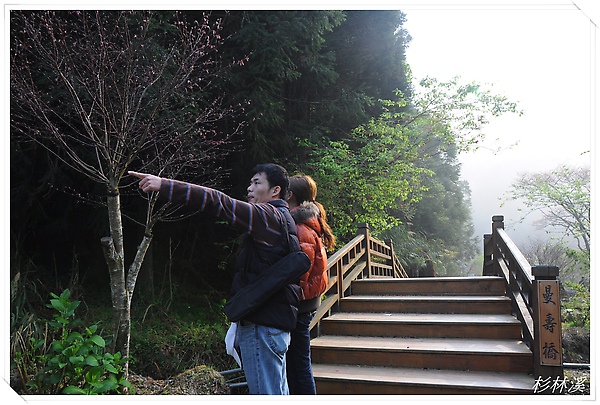 杉林溪 11