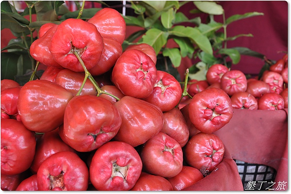 南臺灣之旅 059.JPG