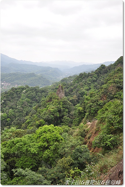 前方光禿山頭是孝子山