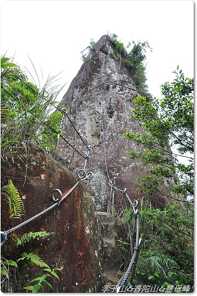 孝子山&普陀山&慈母峰 127.JPG