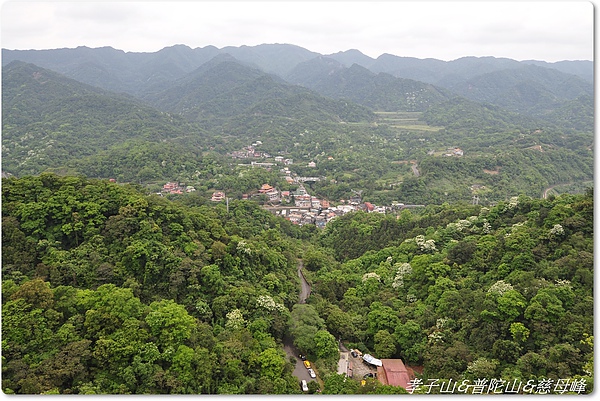 孝子山&普陀山&慈母峰 137.JPG