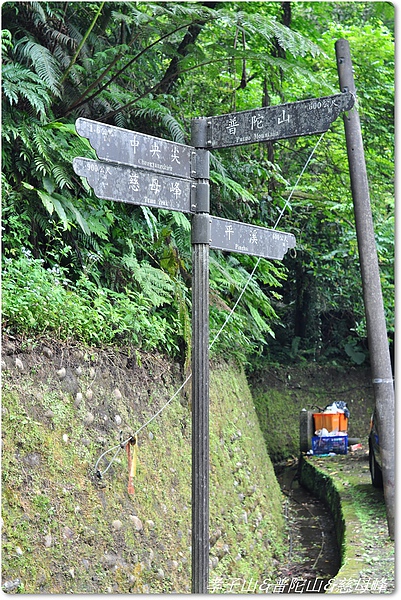 孝子山&普陀山&慈母峰 170.JPG