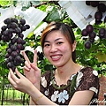 彰化埔心採葡萄 031.JPG