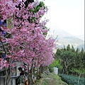 草坪頭&阿里山 068.JPG