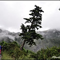 奇萊南峰&南華山 181.JPG