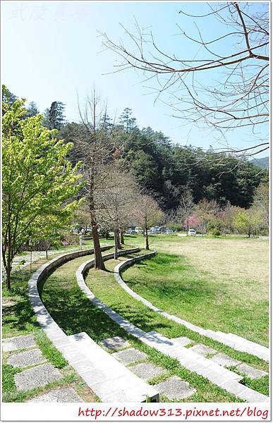 武陵露營去 056.JPG