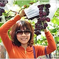 彰化埔心採葡萄 033.JPG