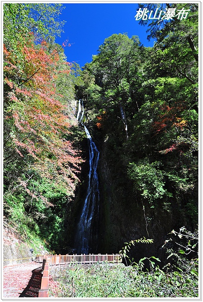 武陵一日遊 141.JPG