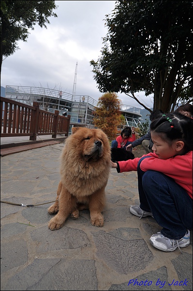 數碼天空 110.JPG