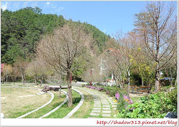 武陵露營去 055.JPG