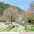 武陵露營去 055.JPG