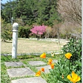 武陵露營去 054.JPG