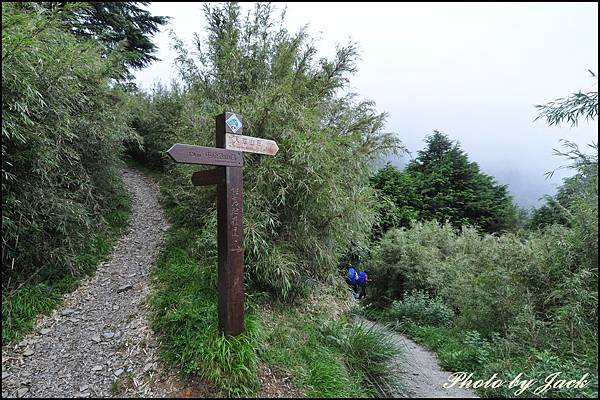 奇萊南峰&南華山 225.JPG