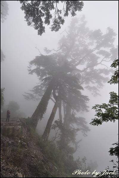 奇萊南峰&南華山 151.JPG