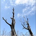 草坪頭&阿里山 174.JPG