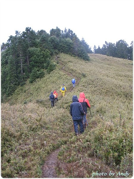 返回桃山的路上