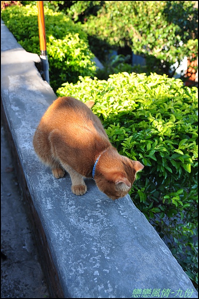 海釣&九份二日遊 430.JPG
