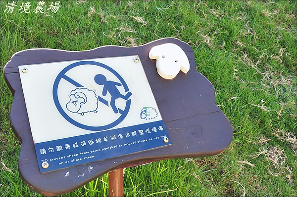 清境&日月潭 042.JPG
