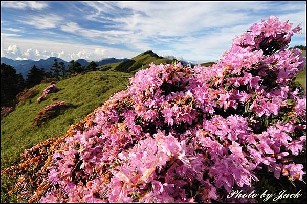 奇萊南峰&南華山 451.JPG