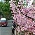 草坪頭&阿里山 039.JPG