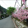 草坪頭&阿里山 040.JPG