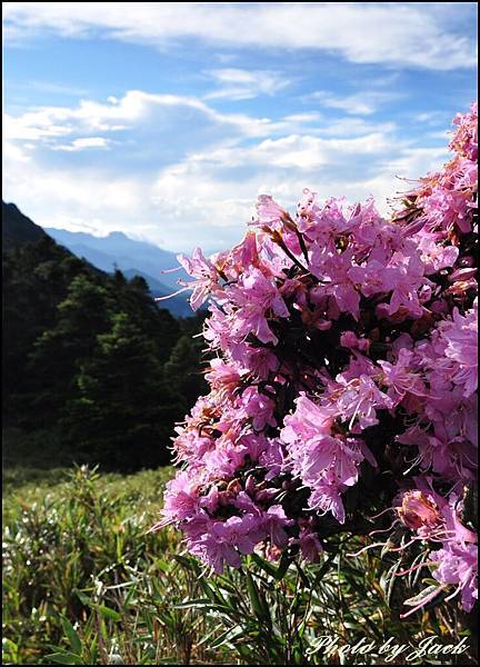 奇萊南峰&南華山 447.JPG