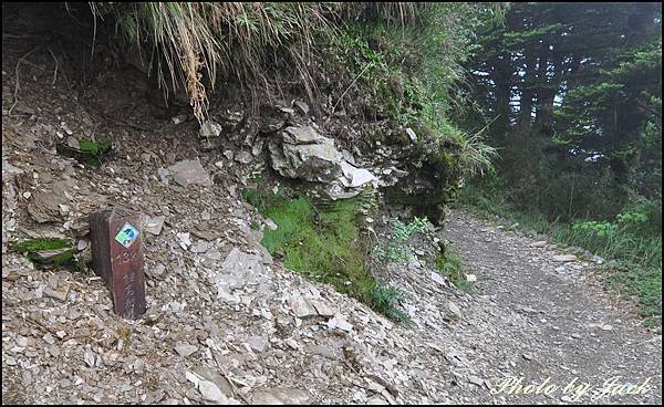 奇萊南峰&南華山 223.JPG