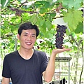 彰化埔心採葡萄 034.JPG