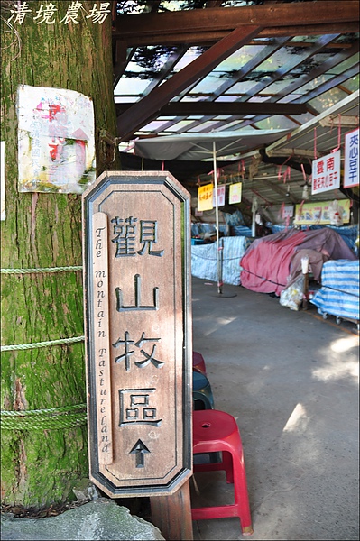 清境&日月潭 004.JPG