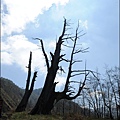 草坪頭&阿里山 179.JPG