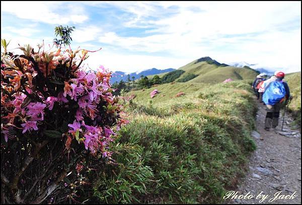 奇萊南峰&南華山 445.JPG