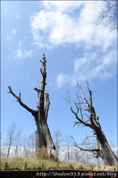 草坪頭&阿里山 174.JPG