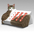 neko-phone.gif