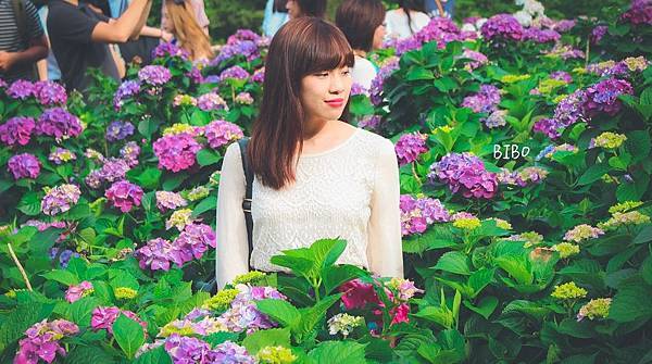 IMG_6801.jpg IMG_6801.jpg