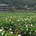 田間小屋