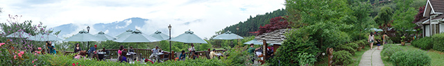 DSC09051-s.jpg DSC09051-s.jpg