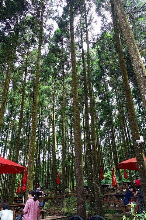 DSC09104-s DSC09104-s