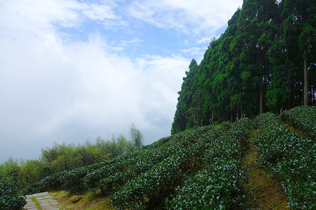 DSC09126-s DSC09126-s