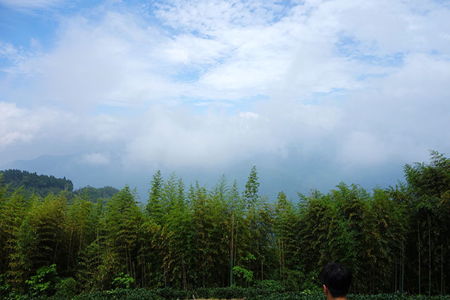 DSC09144-s DSC09144-s