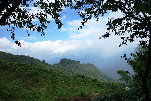 DSC09154-s DSC09154-s