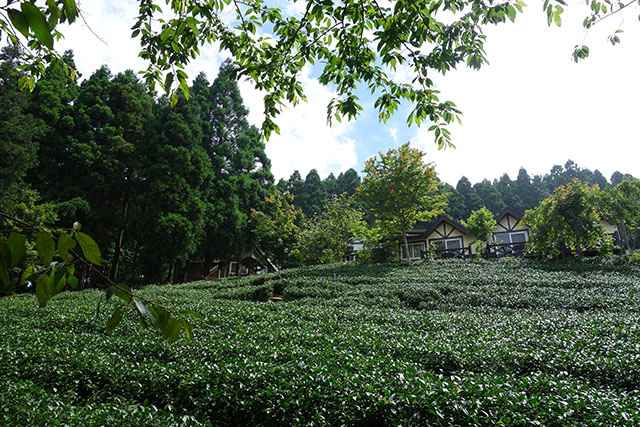 DSC09161-s DSC09161-s
