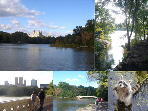 central park.jpg central park.jpg