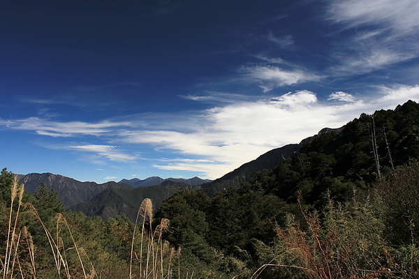 沿途風景隨拍－1