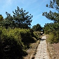 塔塔加往玉山登山口步道