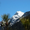 玉山林道觀玉山主峰