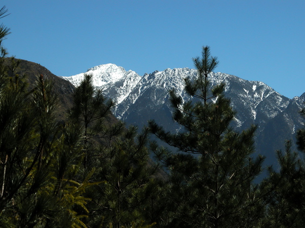 玉山林道觀南峰﹑小南峰-3