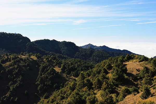 山頂景觀－9