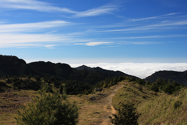 山頂景觀－4