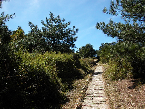 往玉山﹑麟趾山登山口步道