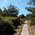 往玉山﹑麟趾山登山口步道